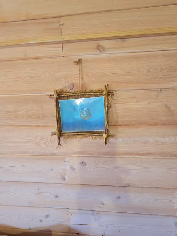 Уютная комната с собственным душем и туалетом