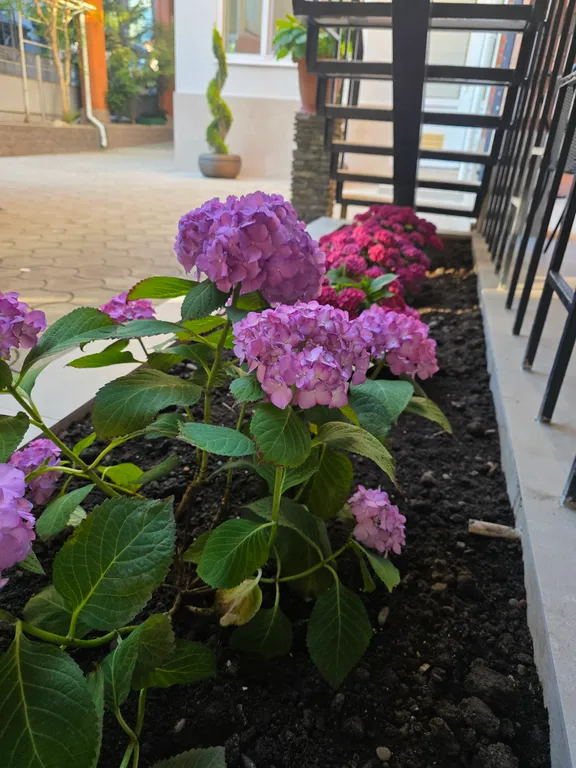 Квартира Квартира Улучшенный комфорт плюс, четырёхместный номер с террасой — Геленджик