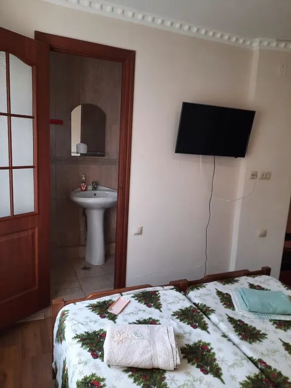 Квартира Квартира Двухместный номер  № 1 с раздельными кроватями — Сочи