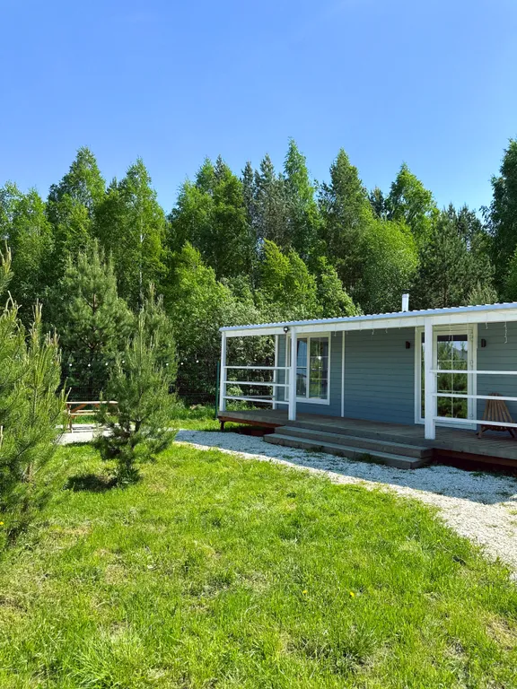 Уютный дом в лесу