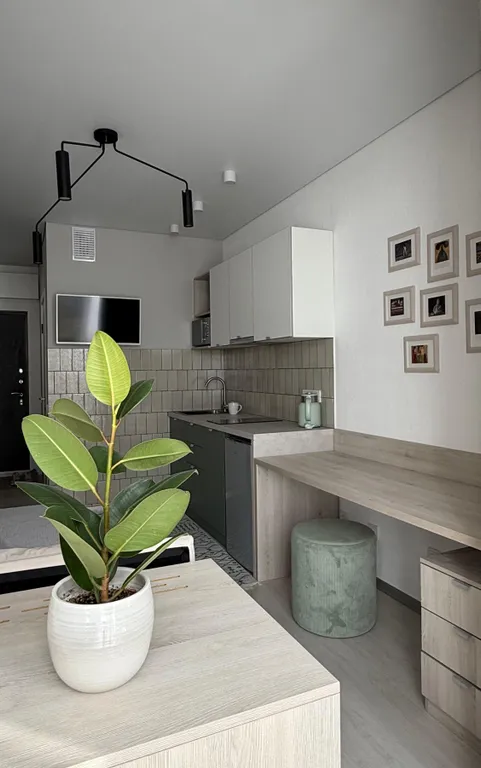 Солнечная студия для двоих рядом с парком