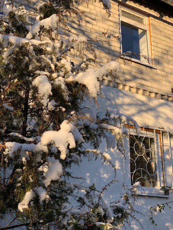 Джилысу transit дача в сосновом бору