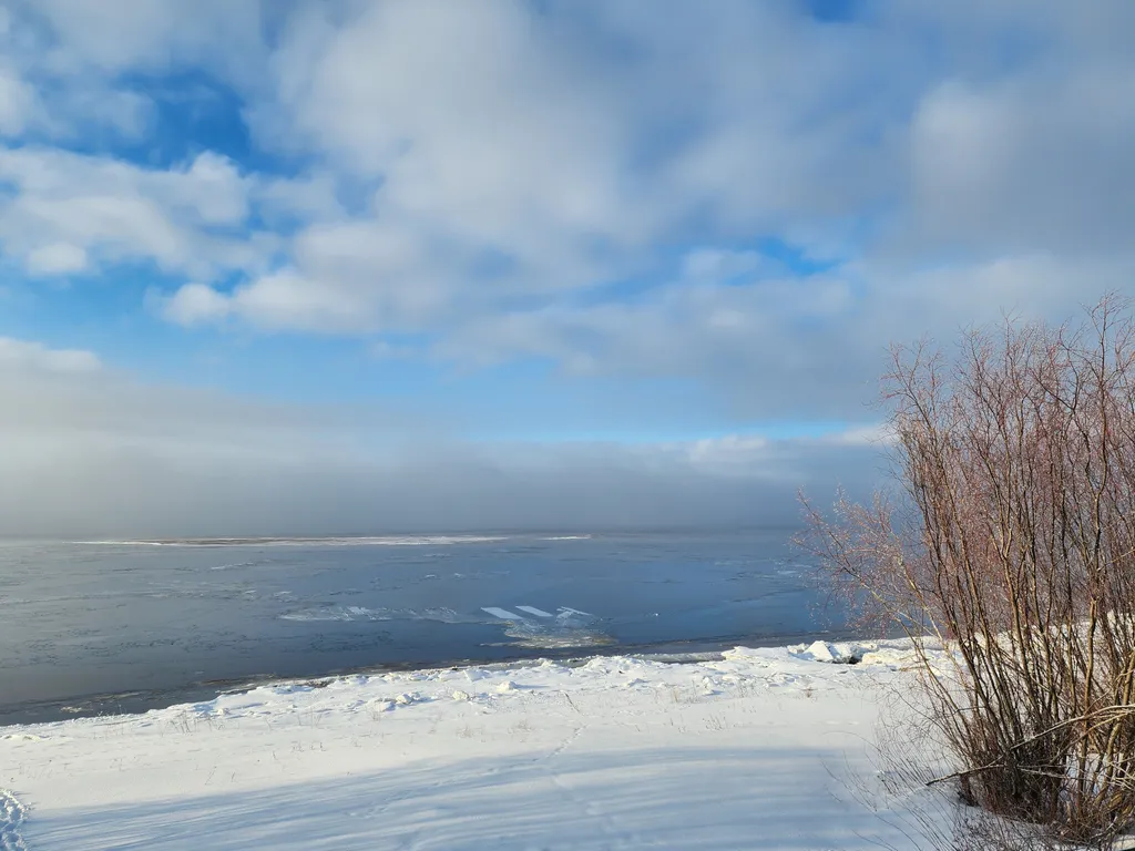 Дом на Зелёном острове