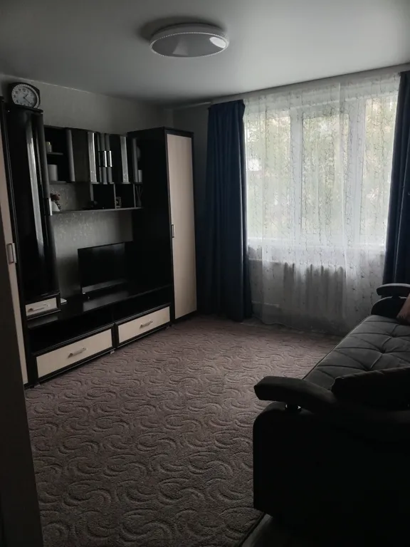 Уютная квартира в центре города — аренда посуточно в Барабинск