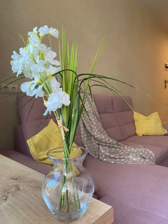 Квартира Оливия апартаменты в лесу возле озера — аренда посуточно в Светлогорск