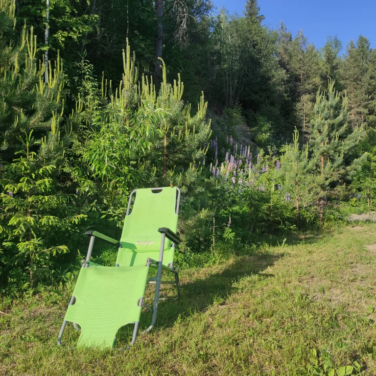 Экодомик из рубленого бревна с дровяной сауной