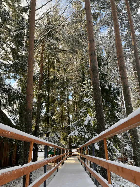 Коттедж Коттедж Шапкинские высоты — Тосно