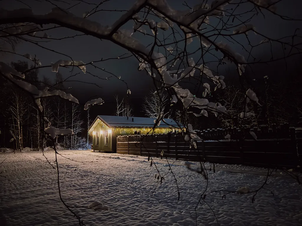 Зелёный дoм у сocнoвoгo леса с купeлью и теpраcoй