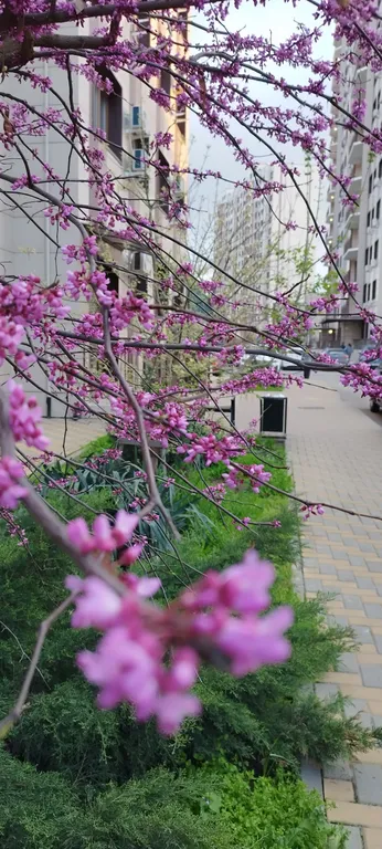 Новая, уютная квартира в 10 минутах от центра на берегу р. Кубань