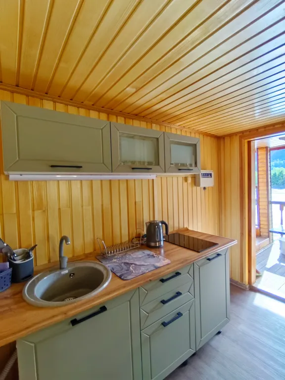 Эко вилла панорамная