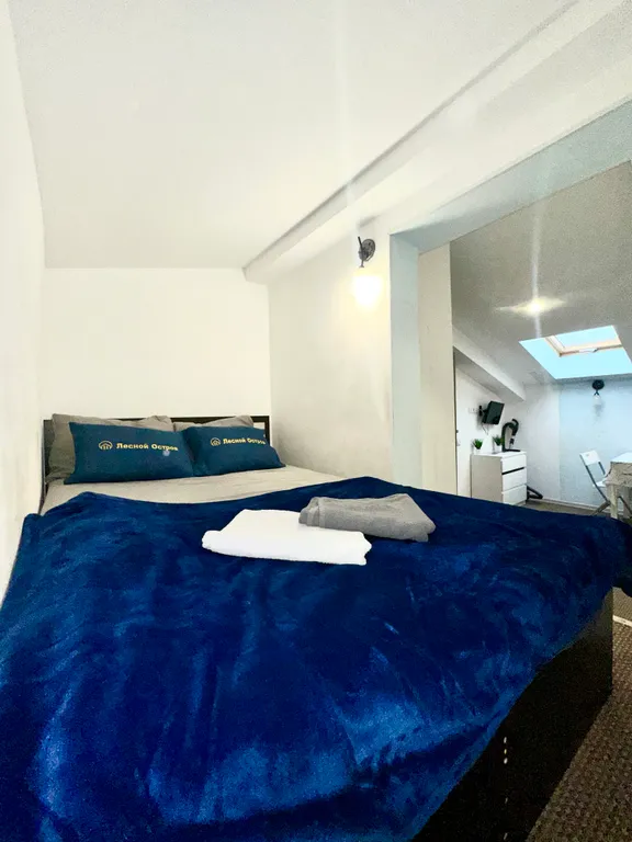 Уютная студия Мансард с окном в потолок