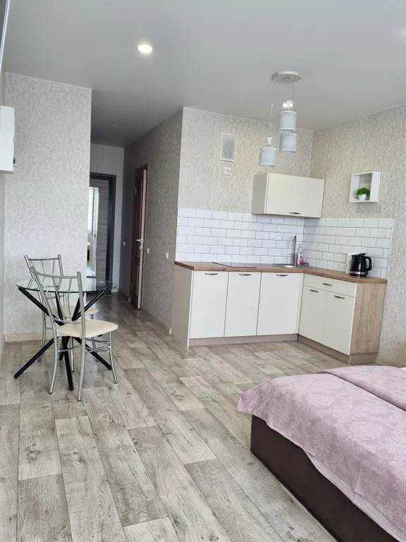 Светлая уютная студия в центре с видом на Энгельс, Саратов и Волгу