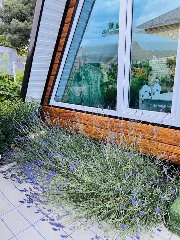 Коттедж рядом с морем