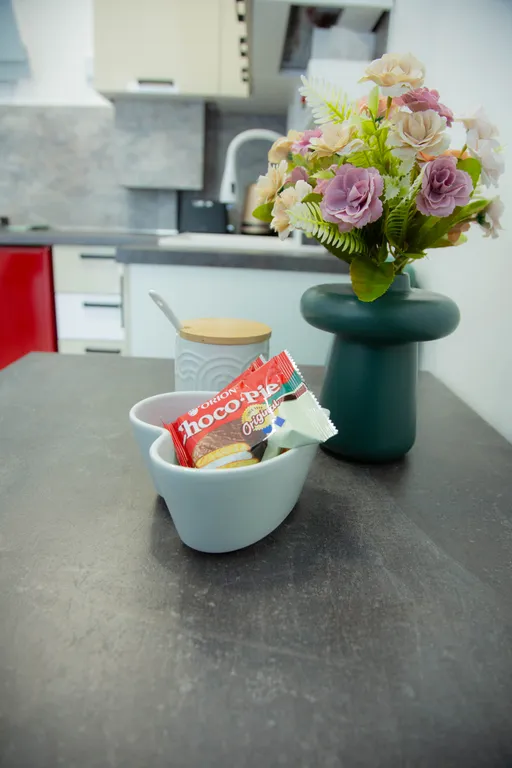 Квартира Квартира студия Live Love — Светлогорск