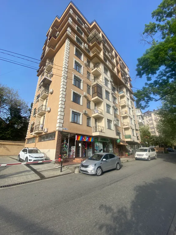 Квартира Квартира Студия с видом на горы и р.Псахе — Сочи