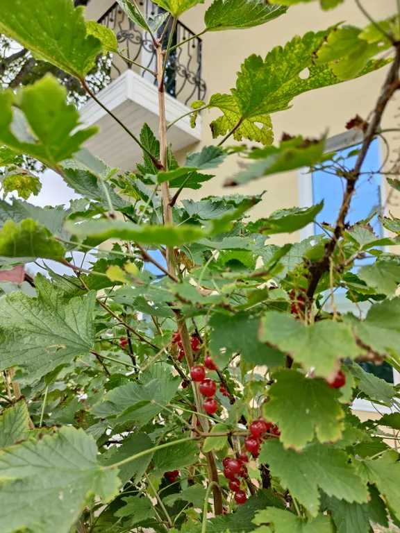 Таунхаус в тихом месте вблизи Финского залива