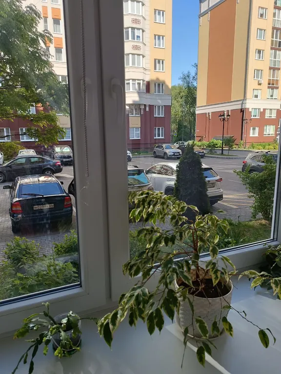Квартира Уютная комната у берега моря — Зеленоградск