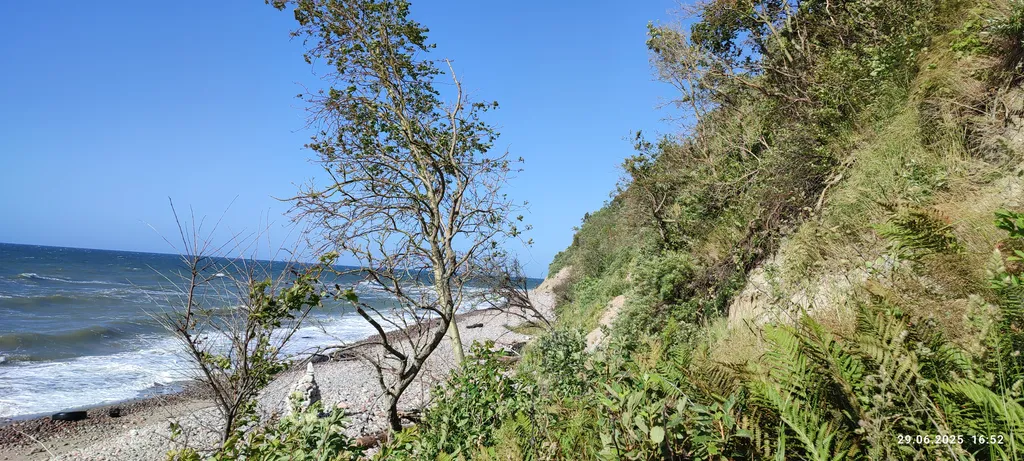 Квартира в Пионерском курорте