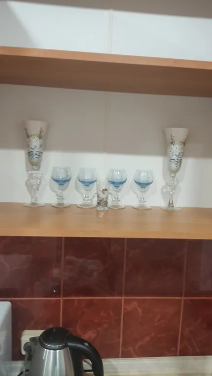 Шикарная квартира с видом на Волгу