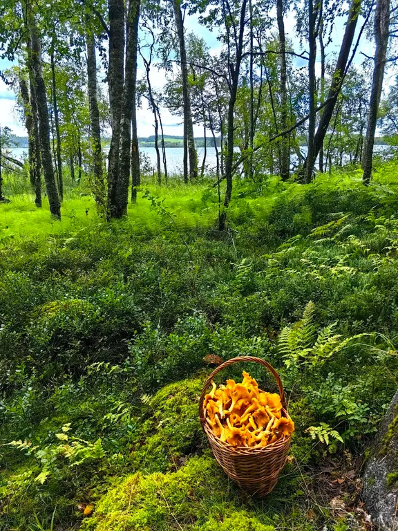 Дом у озера