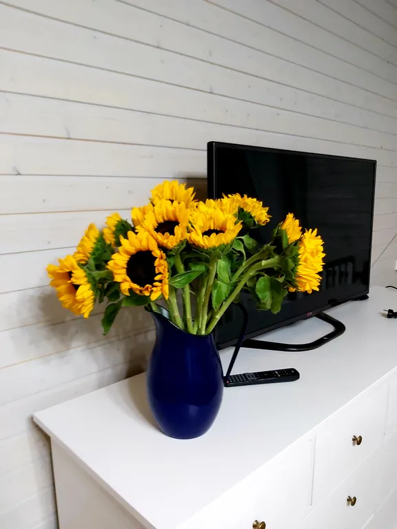 Коттедж 2-комнатный Дом — Сириус