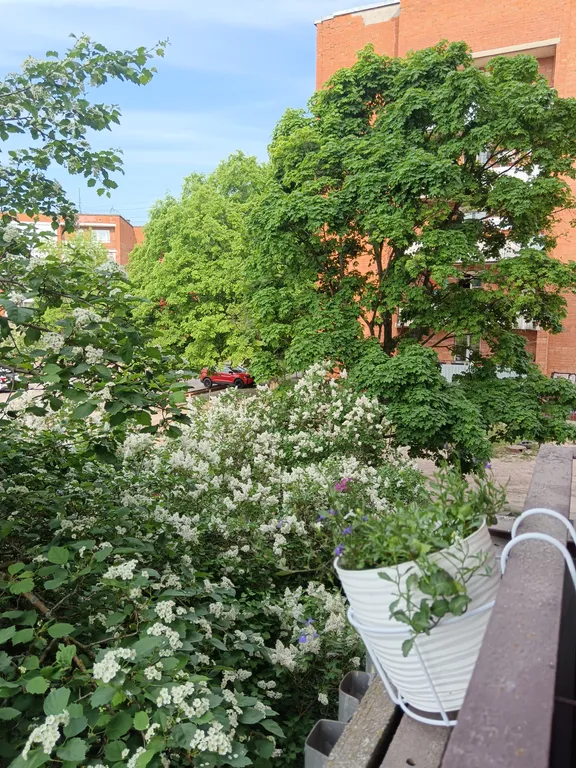 Уютная однокомнатная квартира