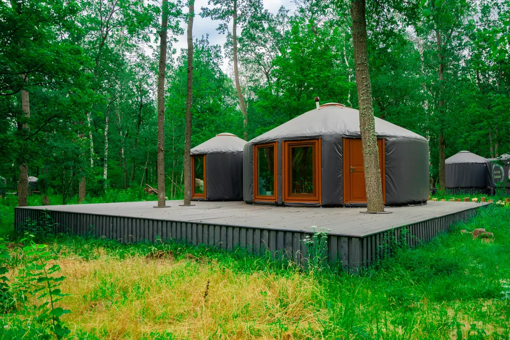 Глэмпинг в лесу