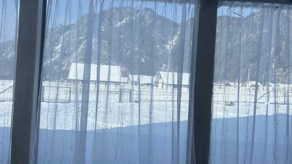 Альпис резидент