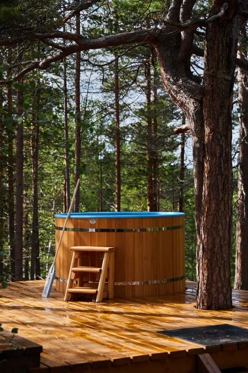 Современный дом в сосновом лесу