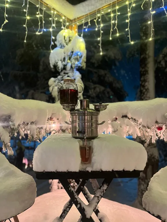 Двухэтажный барнхаус в сердце леса