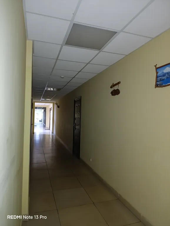 Квартира Квартира Яхонтовый лес Студия — Ногинск