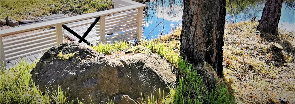 Дом с котом