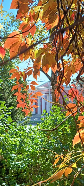 Квартира Квартира Студия на Каштановой — Калининград