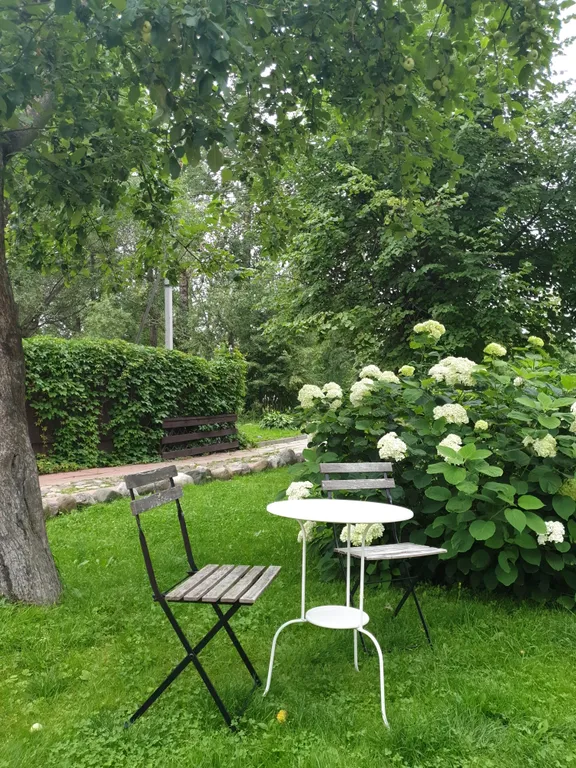 В гостях у художников