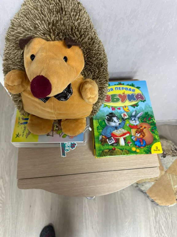 Большая квартира в самом центре города с видом на Власьевский сад