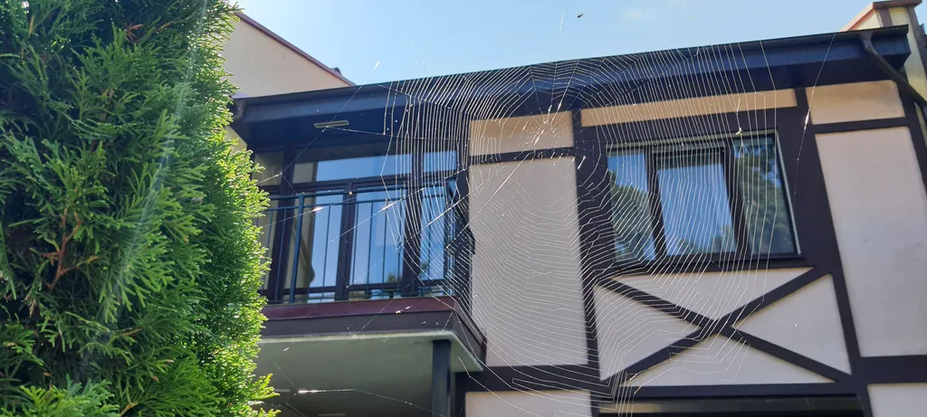 Уютный дом для нескучного отдыха на море