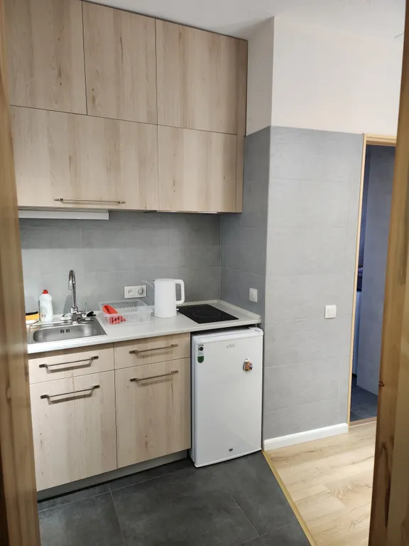 Дизайнерская небольшая квартира в центре города