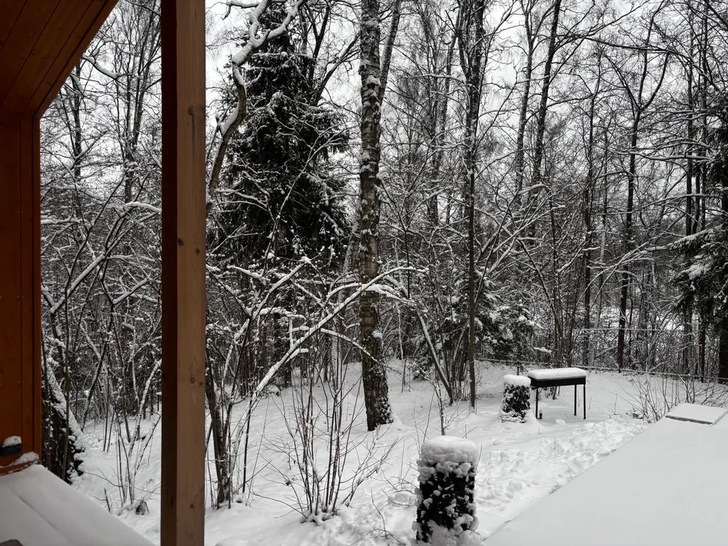 Домик для отдыха в лесу