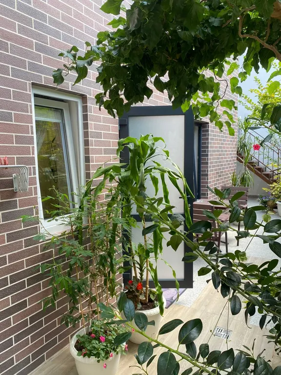 Квартира Квартира Уютный апартамент в центре — Анапа