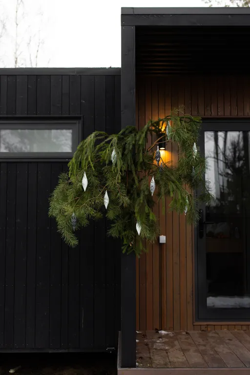 Умный дом с сауной и купелью