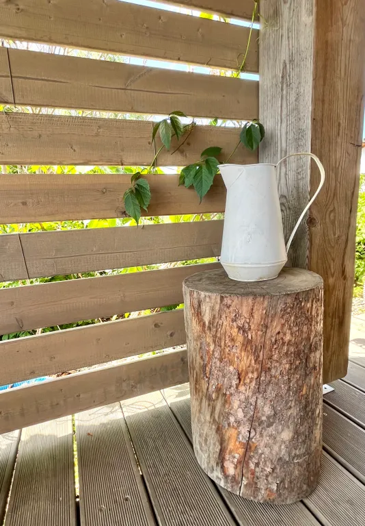 Благоустроенный дом у реки