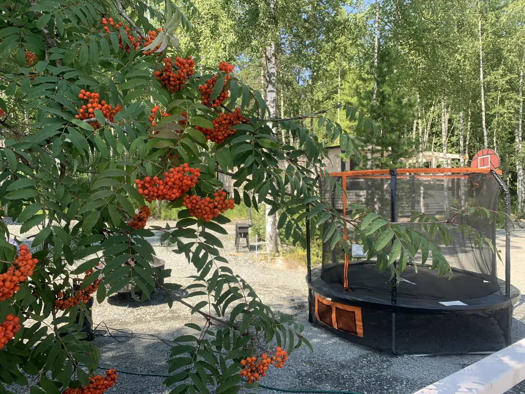 Квартира Модульный домик — Шерегеш