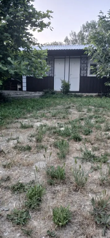 Дача Светлана