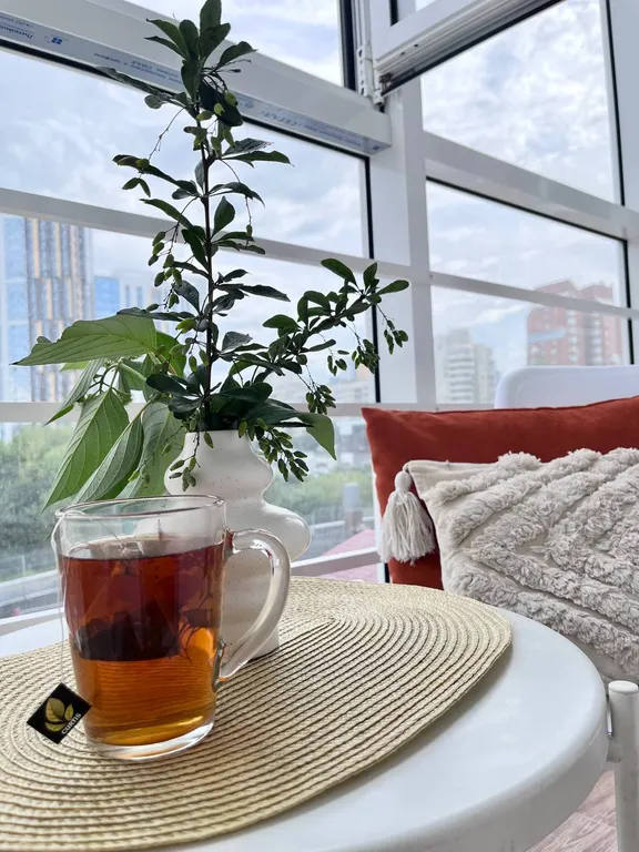 Новая светлая квартира в центре