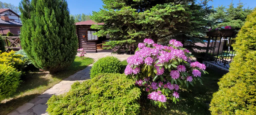 Вилла Морская - уютный дом с бассейном на берегу Балтийского моря