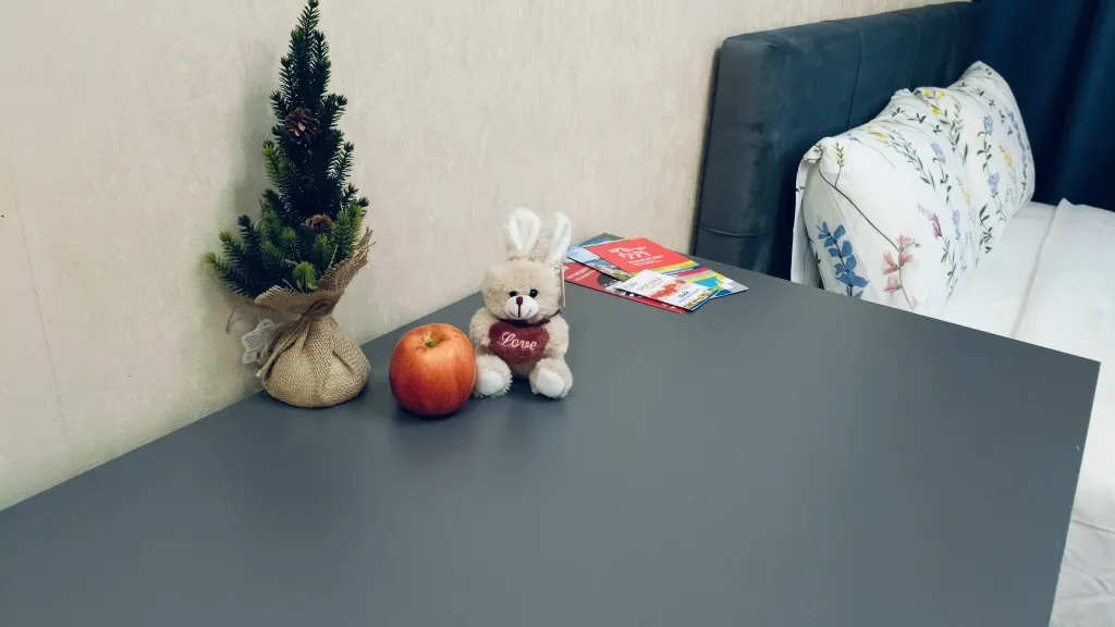 Уютная студия на Пановой