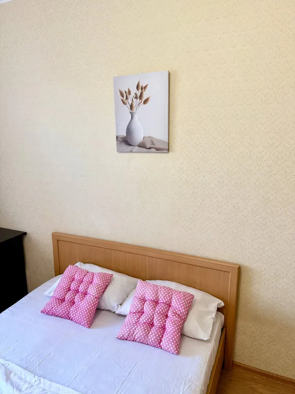 Уютная квартиара в центре города