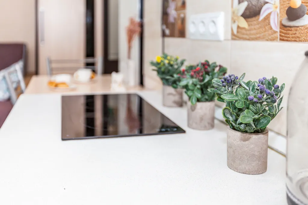 Квартира Квартира Уютная студия у парка Южные культуры — Сириус