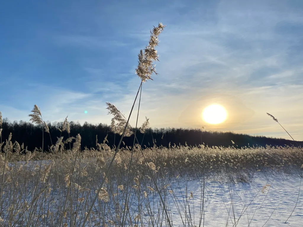 Коттедж Супер дом на Вуоксе с камином и баней — Четверяково