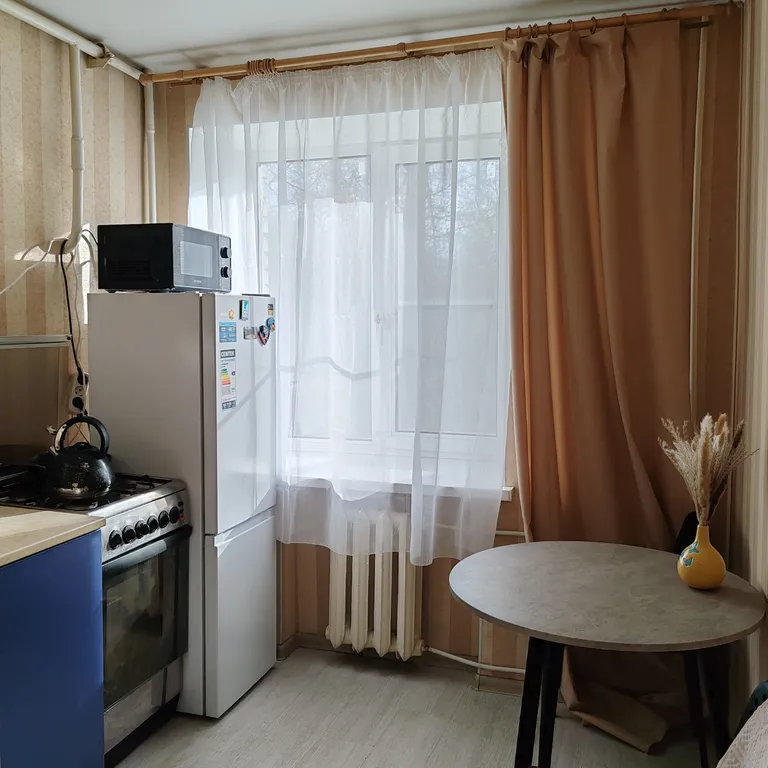 Уютная однокомнатная квартира в центре города